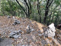 -帽儿山国家森林公园