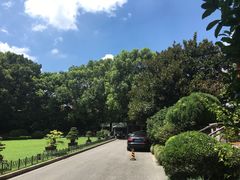 -申粤轩酒楼·三十年粤菜经典(丁香花园店)