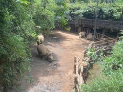 -长鹿旅游休博园
