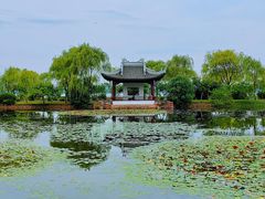 -无锡蠡湖国家湿地公园-蠡园