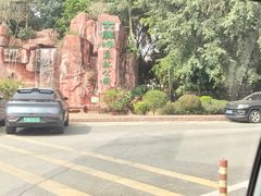 -大屏嶂森林公园