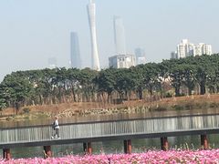 -海珠湖公园