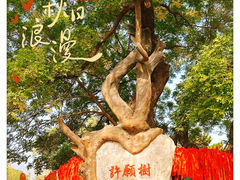 -八大处公园