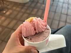 -红楼HONGLOU Gelato(淮海中路店)