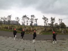 -瑶湖郊野森林公园