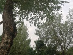 -白鹭湾湿地公园