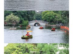 -荔湾湖公园