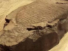 -白鹤梁水下博物馆