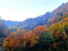 -光雾山旅游景区