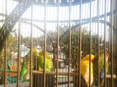 -老味道民宿(栈桥店)