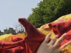 -荔湾湖公园