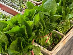 -金沙滩海鲜餐厅·海肠捞饭·手工水饺(梅江龙水园店)