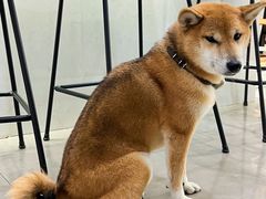 -NOTBAD 须时·咖啡馆