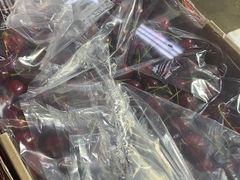 -沈阳市八家子水果批发市场