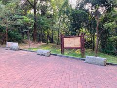 -火炉山森林公园