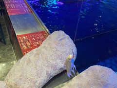 -钳真多钓虾馆·小龙虾海鲜烧烤(九六广场店)