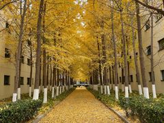 -北京国家会计学院