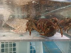 -永辉超市(龙潭寺店)