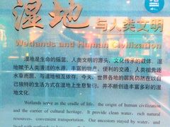 -中国湿地博物馆