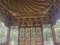-汇龙潭