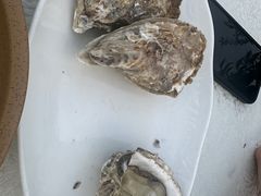 -白沙码头海鲜广场