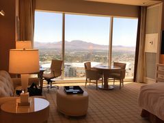 -拉斯维加斯永利酒店