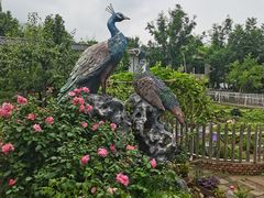 -丽泽山庄·生态怀柔菜·虹鳟鱼(红螺寺店)