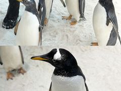 -郑州银基冰雪世界