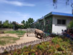 -西安秦岭野生动物园