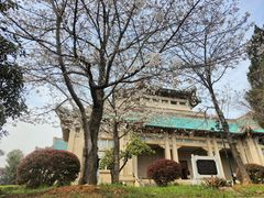 -武汉大学-樱园