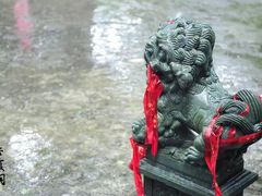 -飞来湖湿地公园