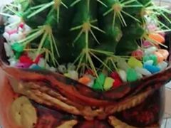 -宝鸡东道花鸟鱼虫市场(吉利花园商场店)