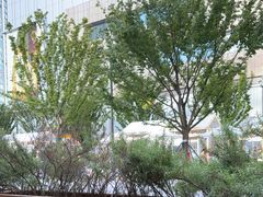 -阿嬷手作(成都万象城店)