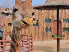 -济南野生动物世界