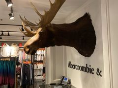 -Abercrombie & Fitch(三里屯太古里店)