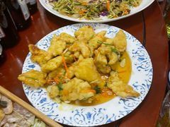 -东北田记家常菜