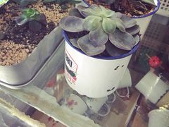 iphone_upload_pic-做了不起的80后