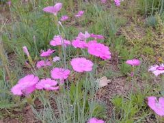 -汉长安城未央宫国家考古遗址公园