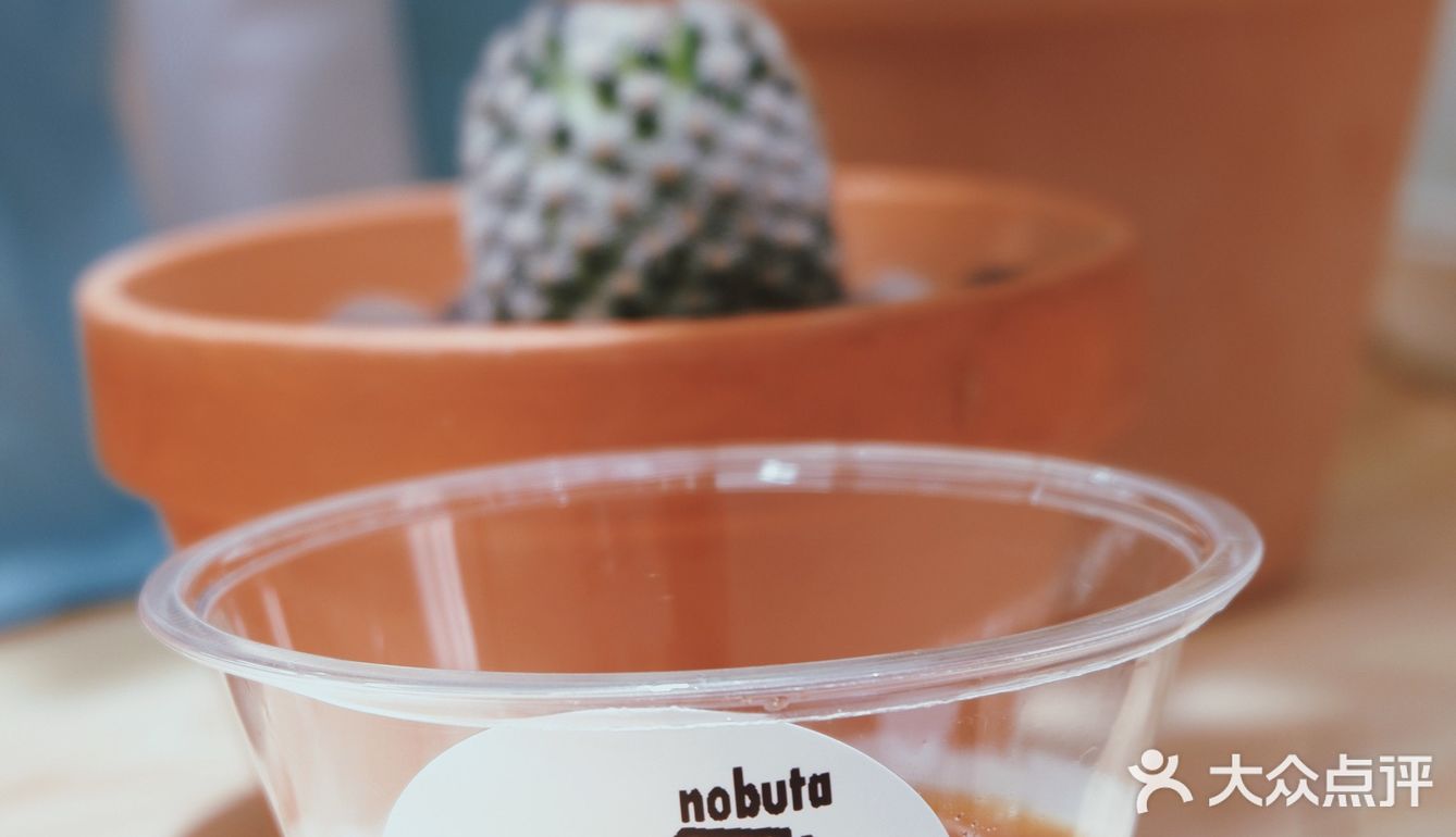 Nobuta咖啡｜市中心的宁静｜惬意极了