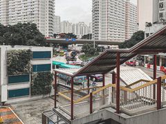 -彩虹村