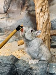 -Zoolung Zoolung动物主题公园(海信广场店)