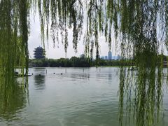 -济南大明湖景区