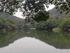 -白马涧龙池景区