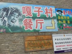 -白洋淀景区