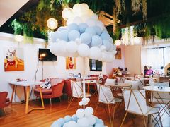 -Husky Go! 哈士奇体验馆·宠物咖啡厅狗咖