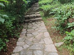 -北京张裕爱斐堡酒庄