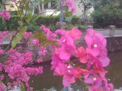 -广东外语外贸大学(白云山校区)