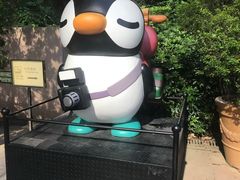 -九龙公园