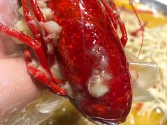 -杨氏青龙虾·羊蝎子(金盛路总店)