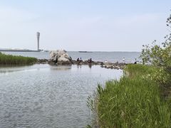 -吴淞炮台湾湿地森林公园烧烤区